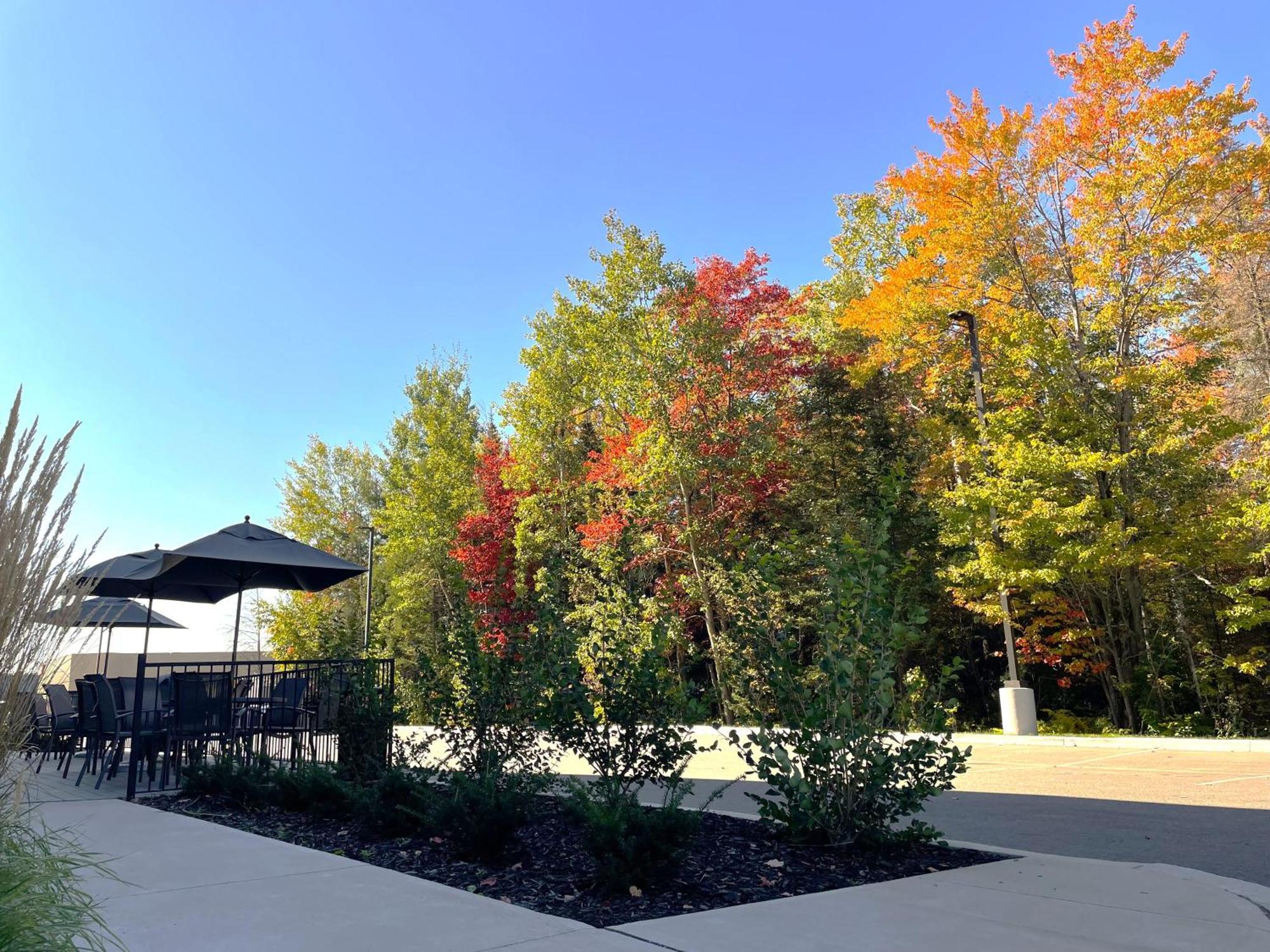 Fairfield By Marriott Inn & Suites ノースベイ エクステリア 写真